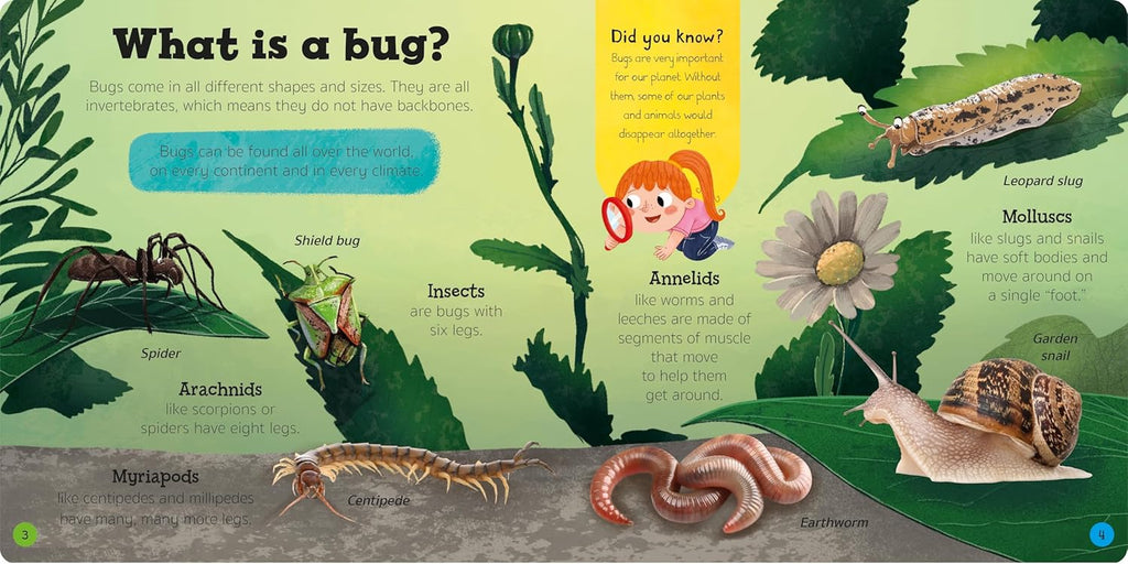 Bugs & Slugs