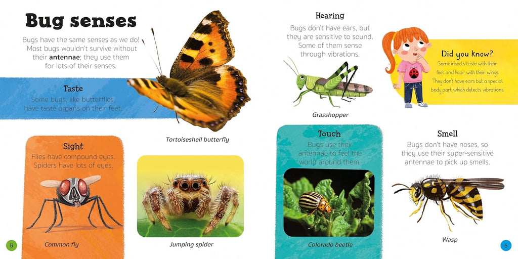 Bugs & Slugs